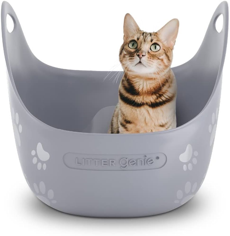 Cat Litter Boxes