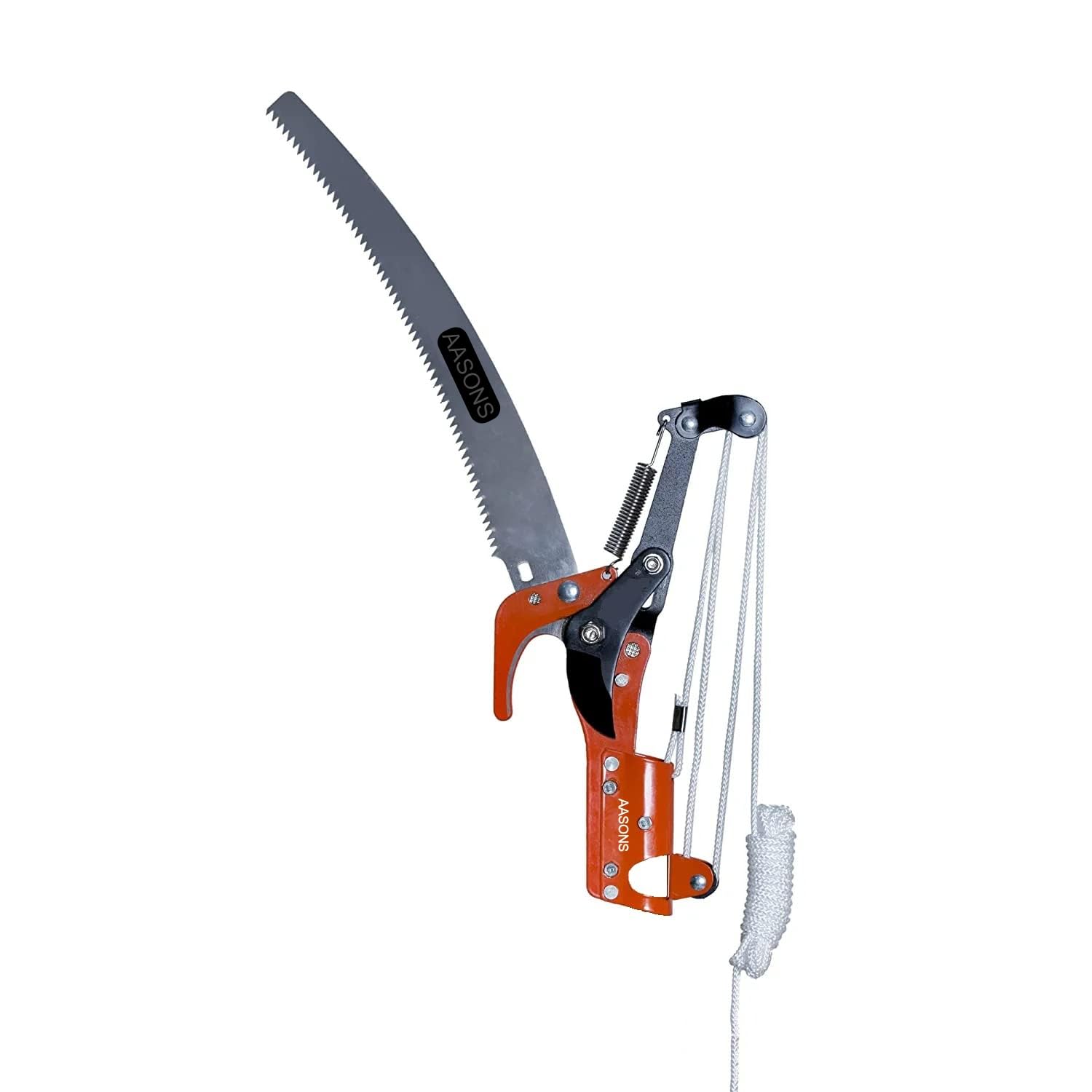 Tree Pruner