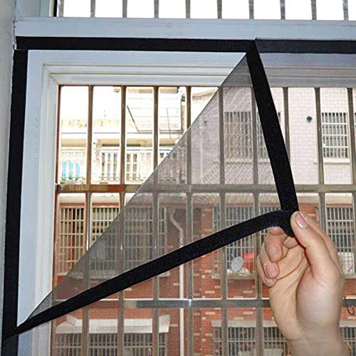 Window Nets