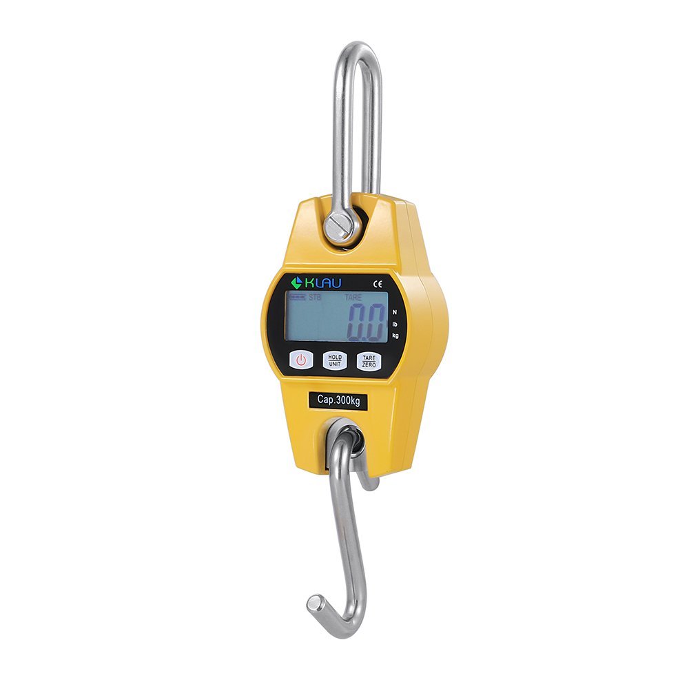 Crane Scale