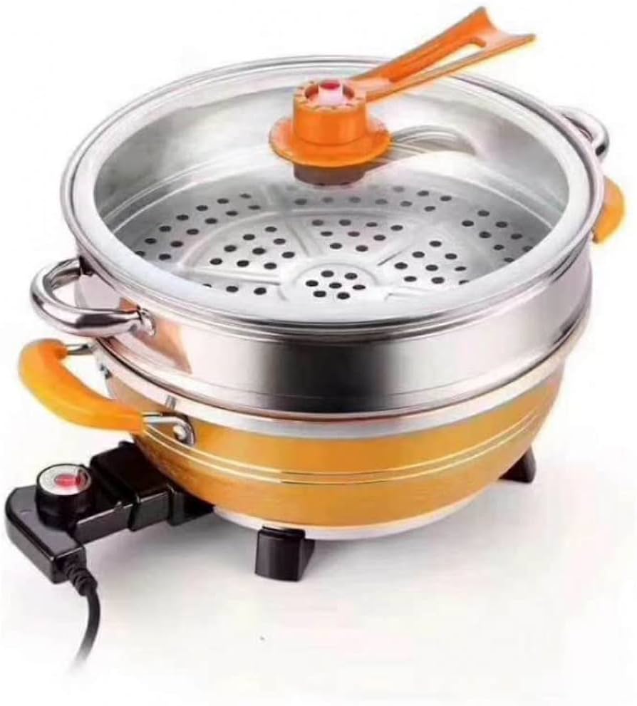 Electric Steamer