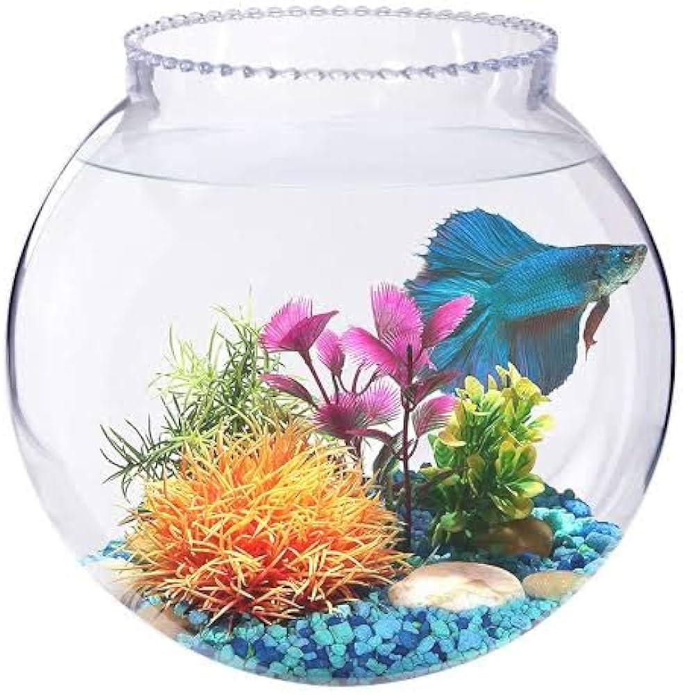 Glass Fish Bowl
