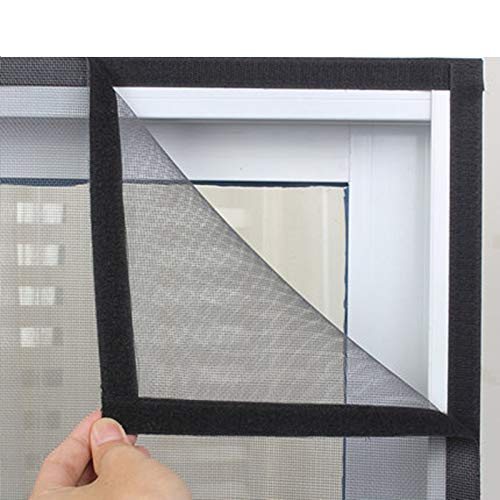 Mesh Window