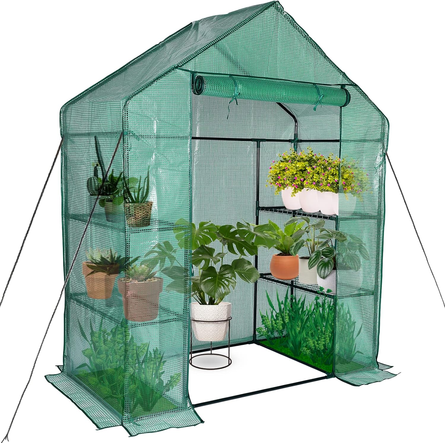 Mini Greenhouse