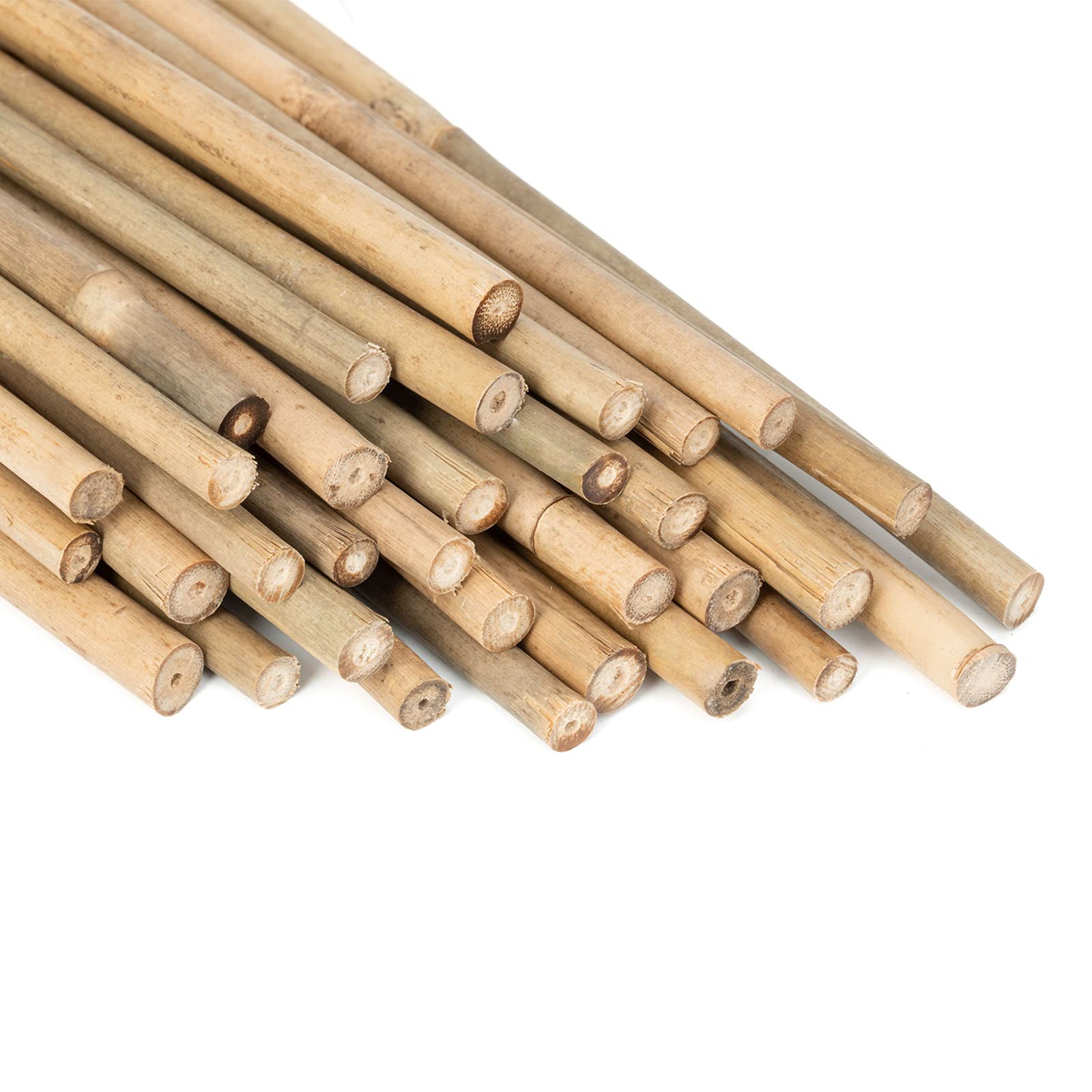 Bamboo Sticks