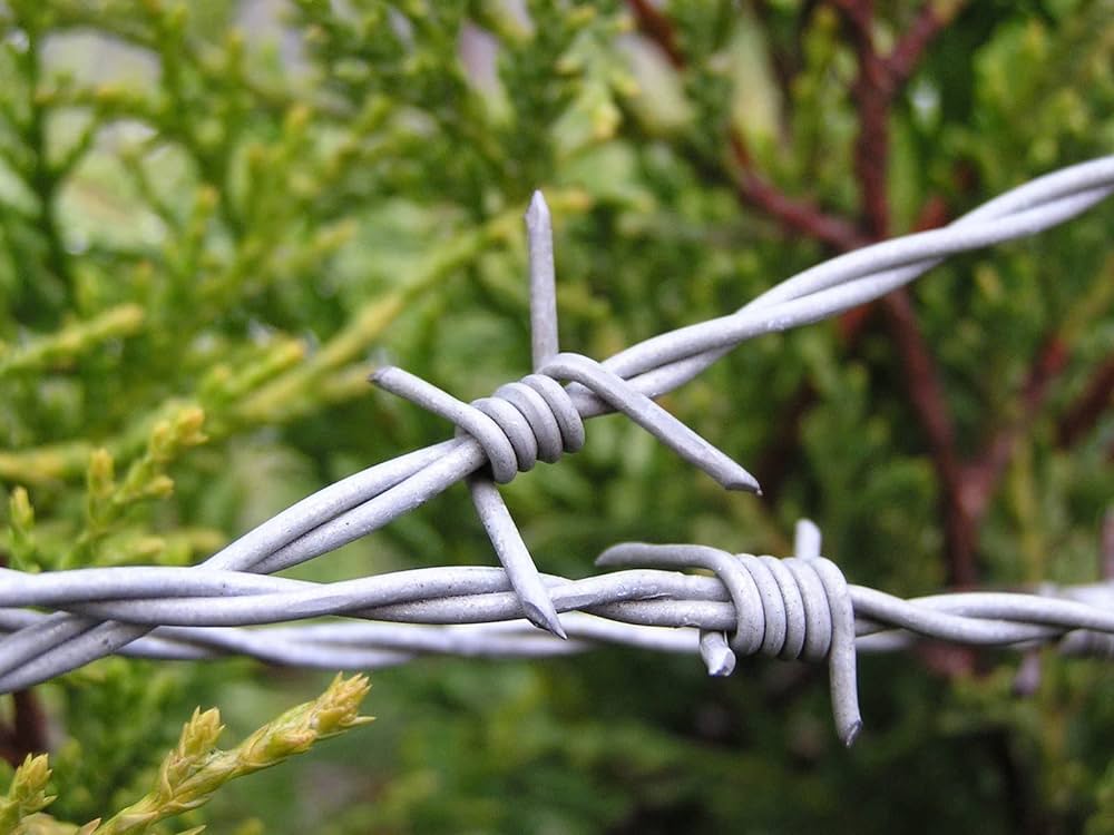 Wire Fencing