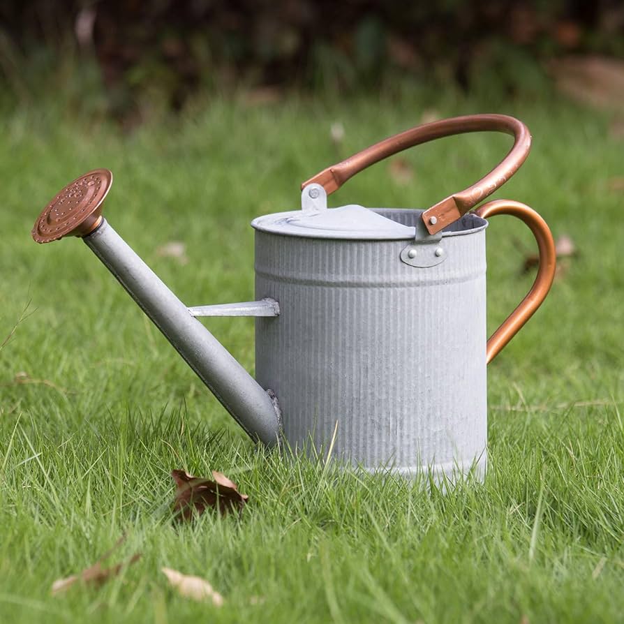 Metal Watering Can