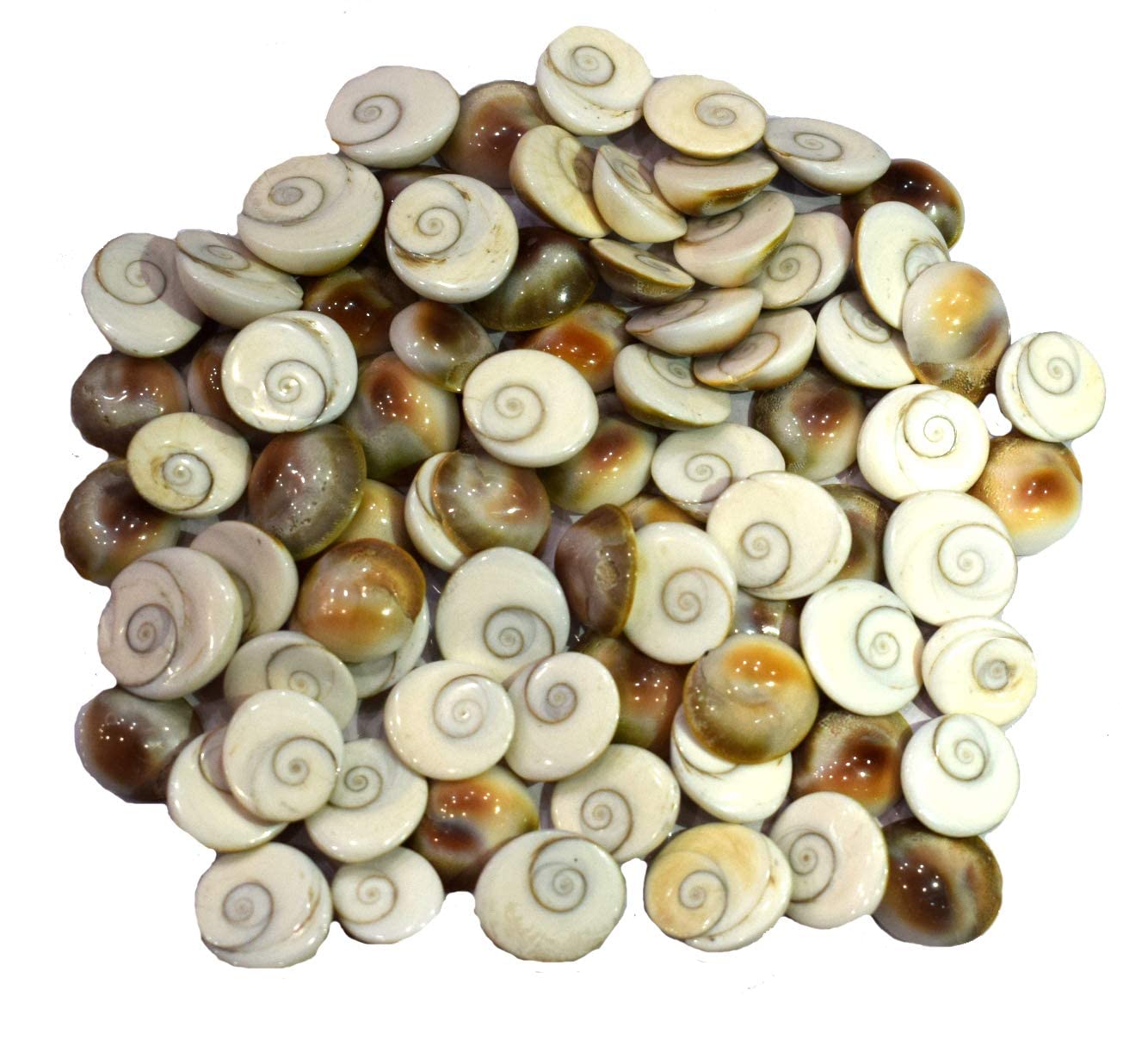 Gomati Chakra