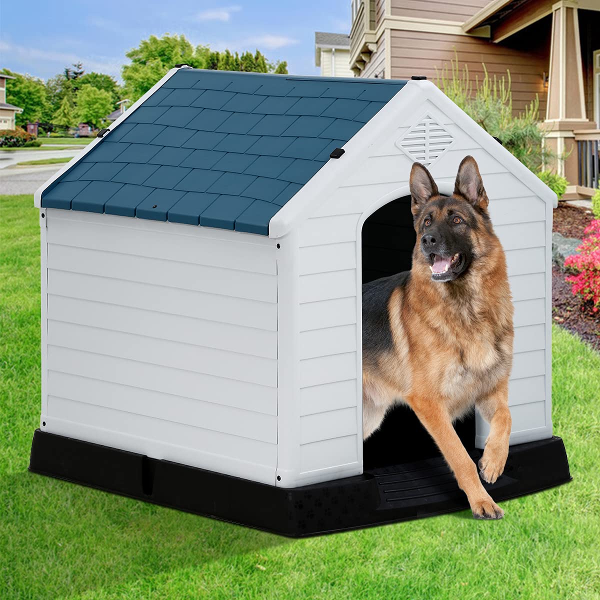 Pet House