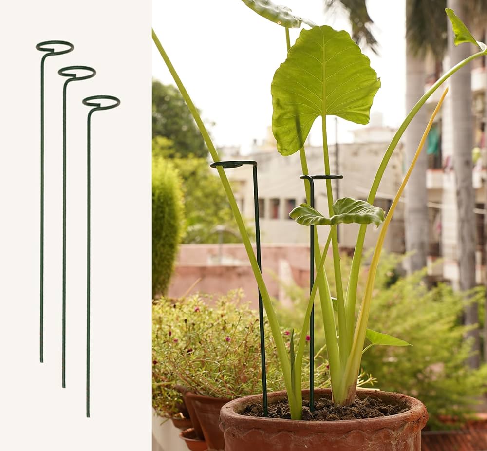 Garden Stakes
