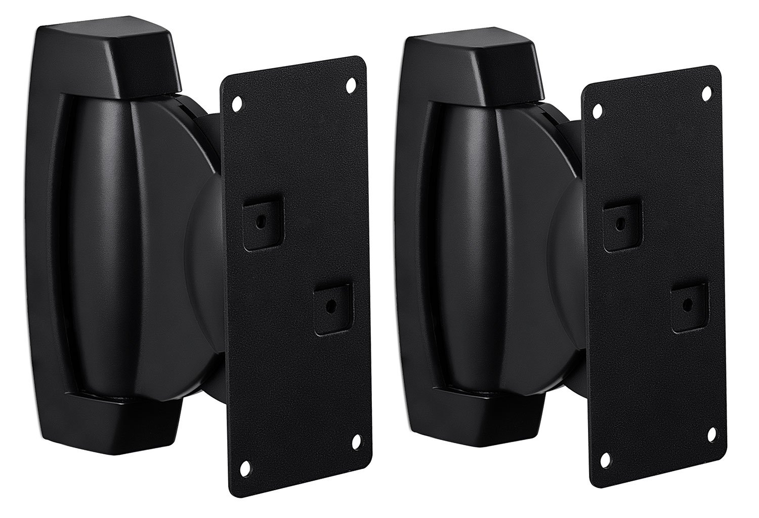 Speaker Wall Mount