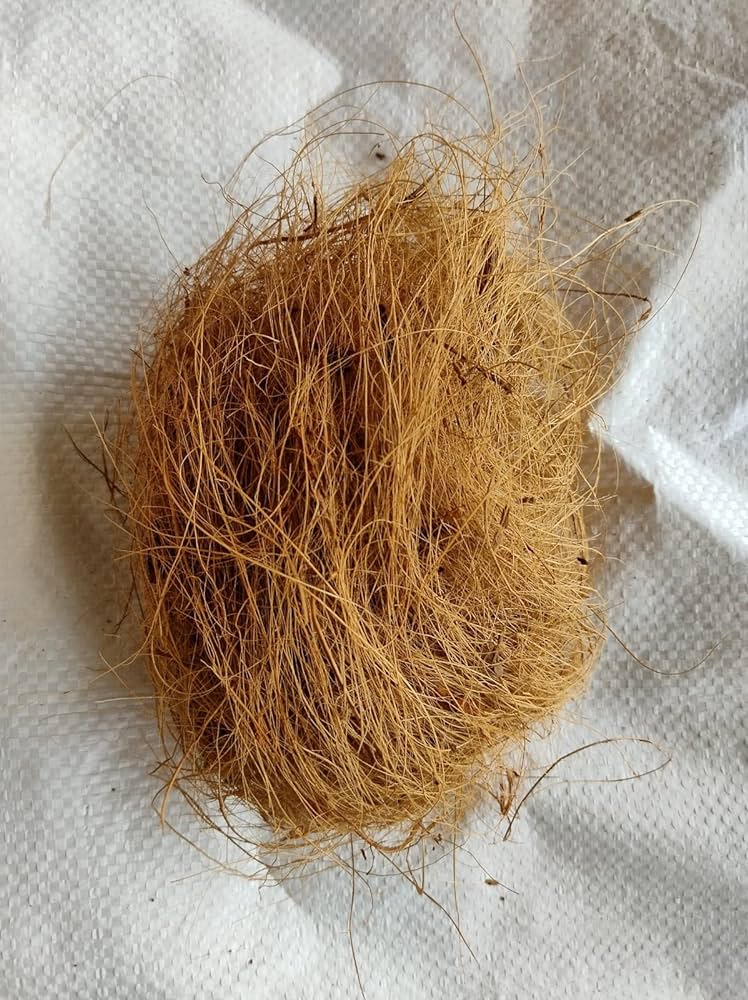 Coir Fiber