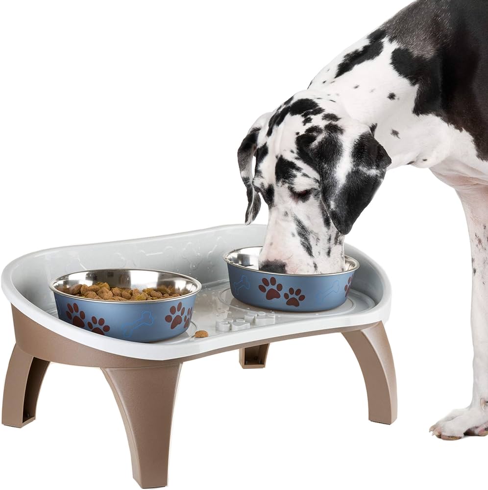 Pet Food Tray