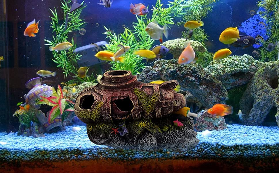 Aquarium Decoration