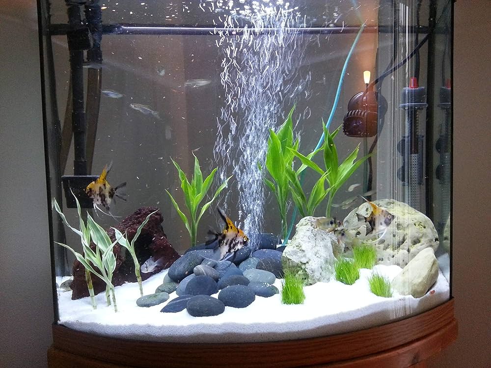 Aquarium Sand