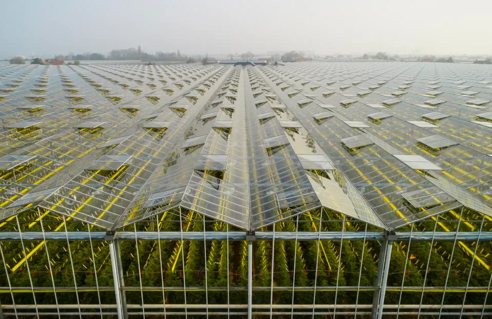 Agricultural Greenhouses