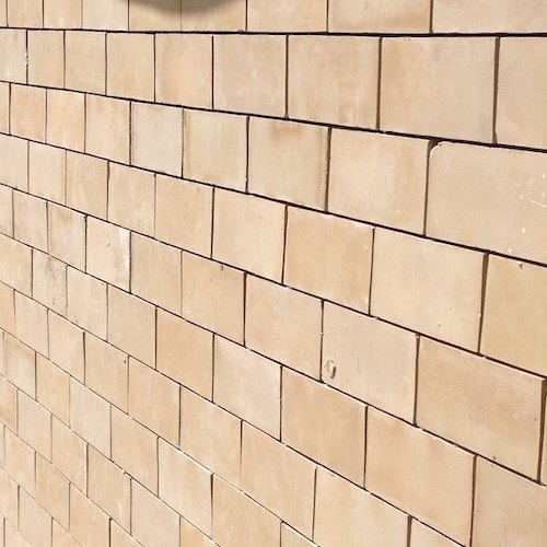 Acid Proof Bricks