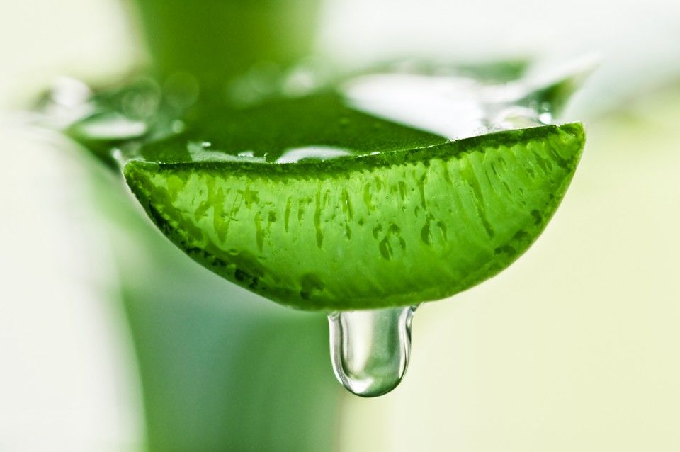 Aloe Vera Cosmetics