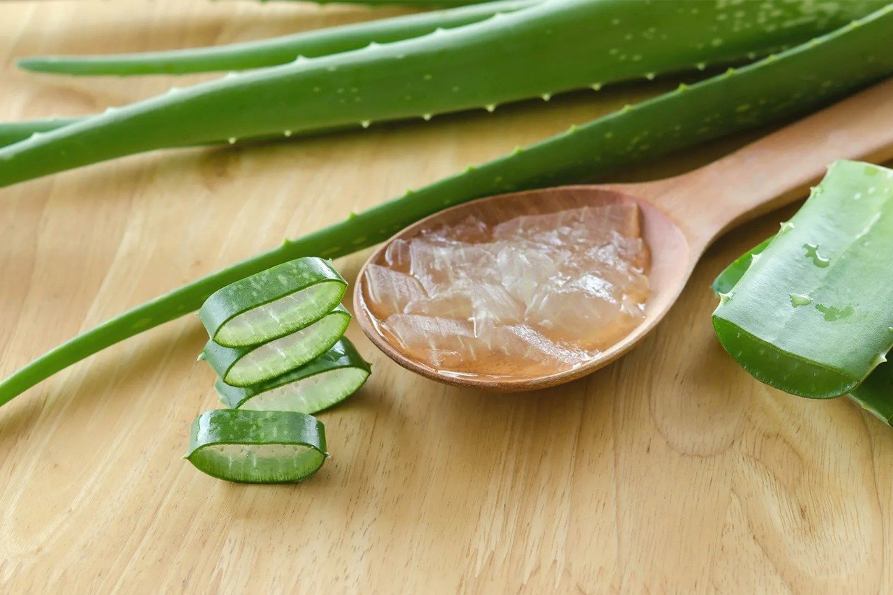 Aloe Vera Pulp
