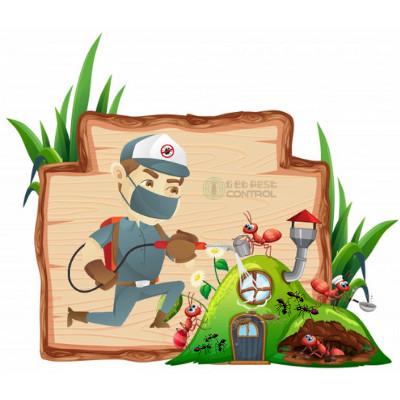 Ants Control Services
