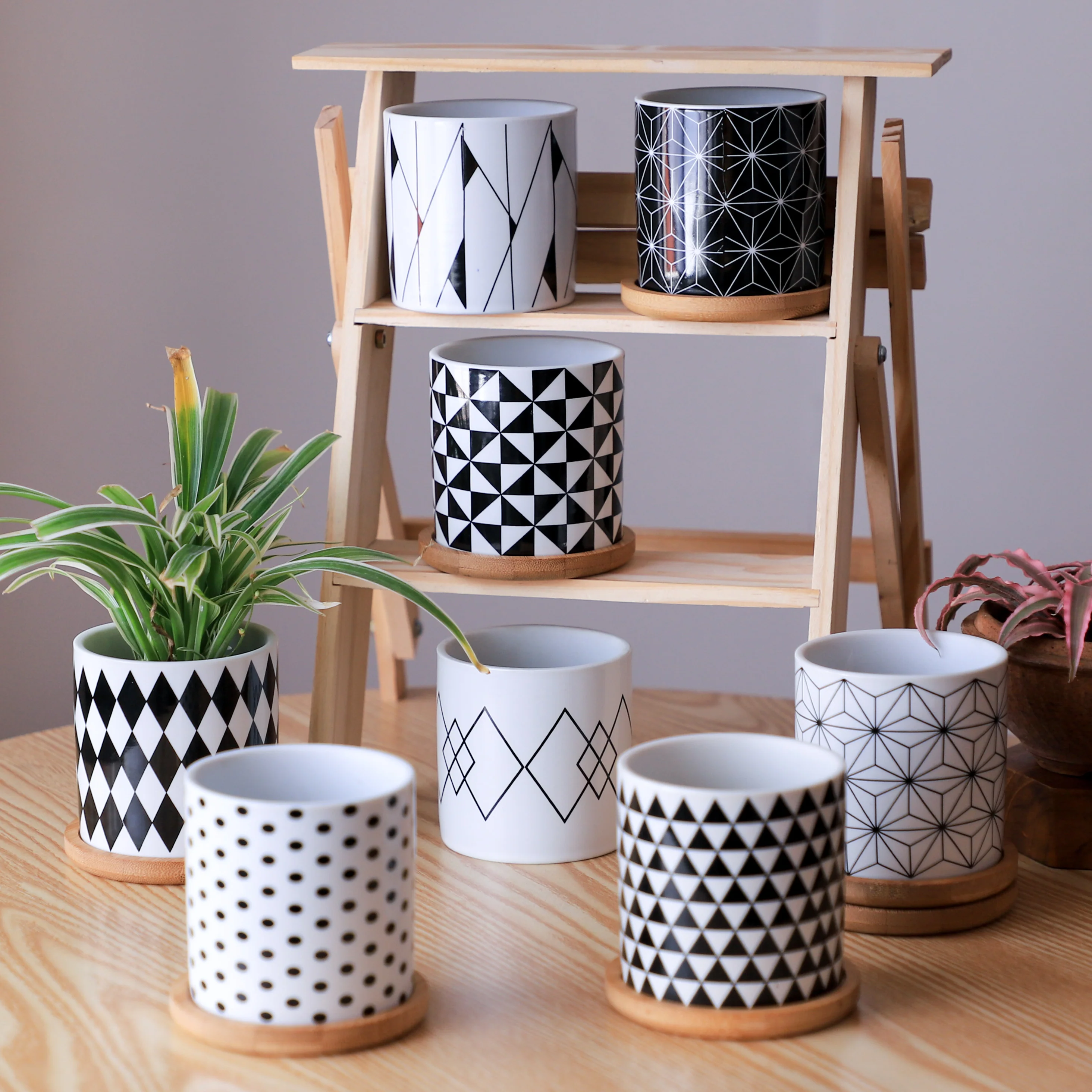 Ceramic Planter