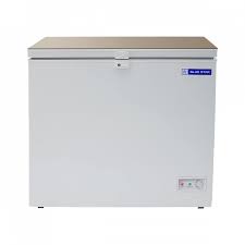 Blue Star Deep Freezer