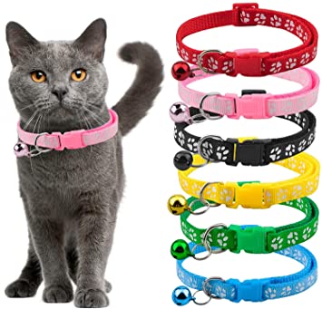 Cat Collars