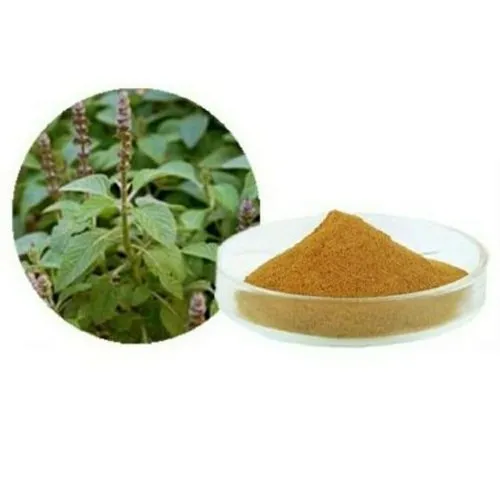Coleus Extracts