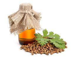 Coriander Oils