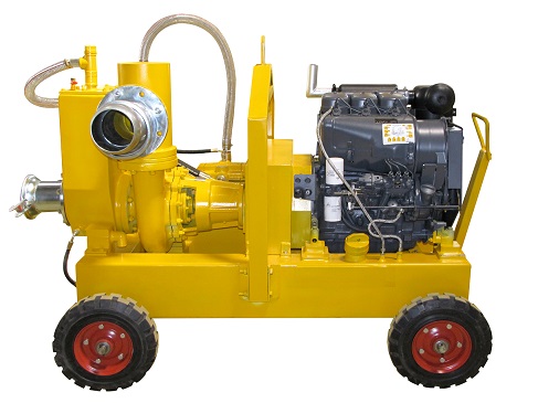 Dewatering Pump