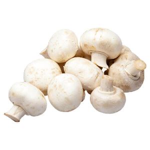 Dried Mushroom