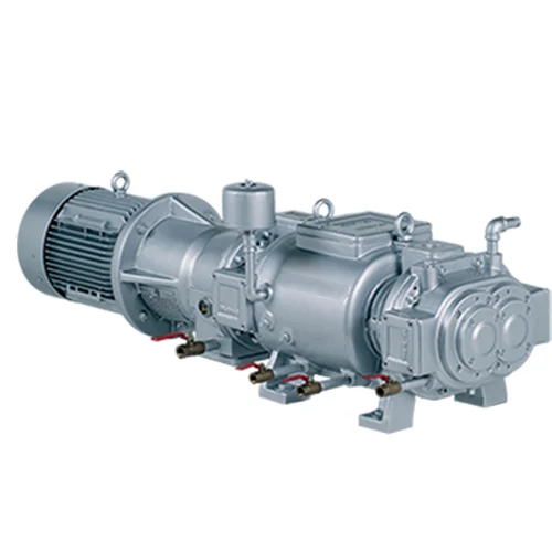 Dry Screw Vacuum Pumps