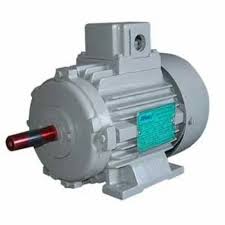 Dual Voltage Motor