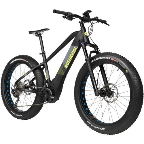 Electric Bicycles
