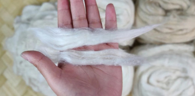 Silk Fibers
