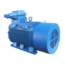 Explosion Proof Motor