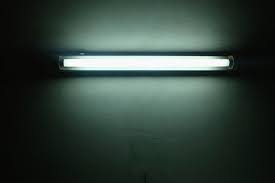 Fluorescent Wall Light