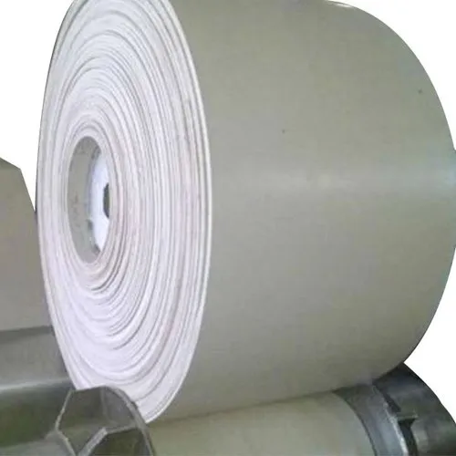 Food Grade Belt