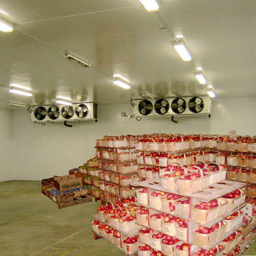 Fruits Storage Services