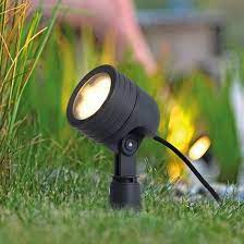 Garden Spotlight