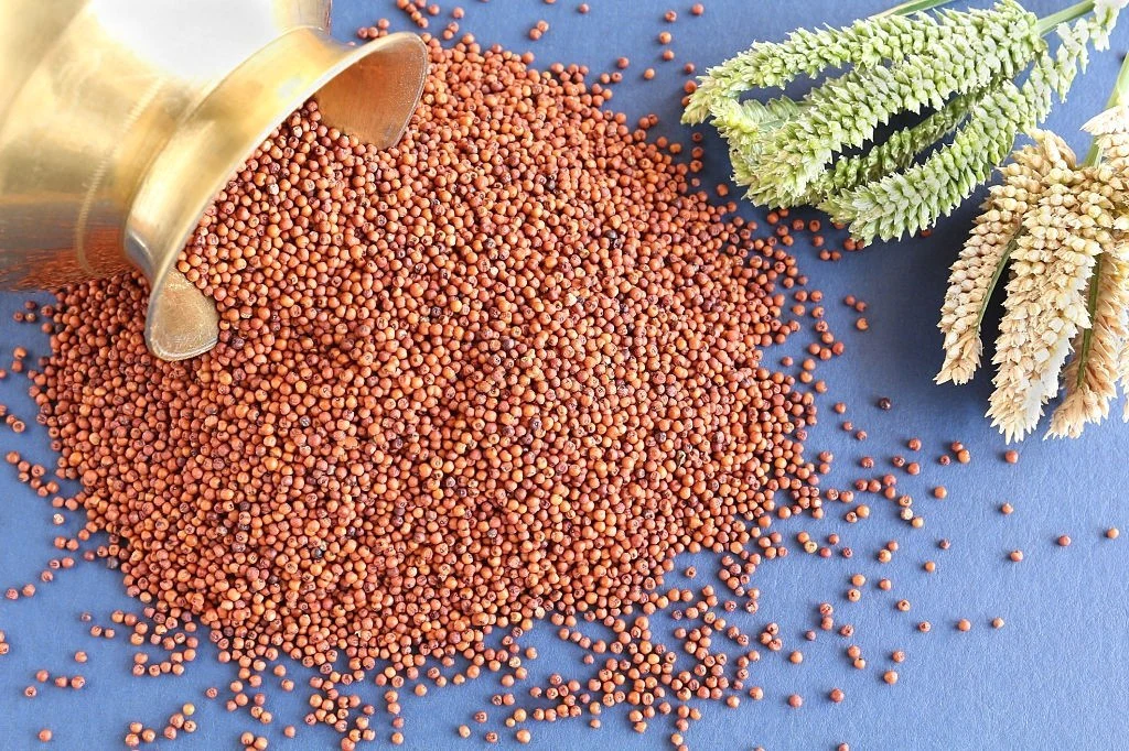 Ragi