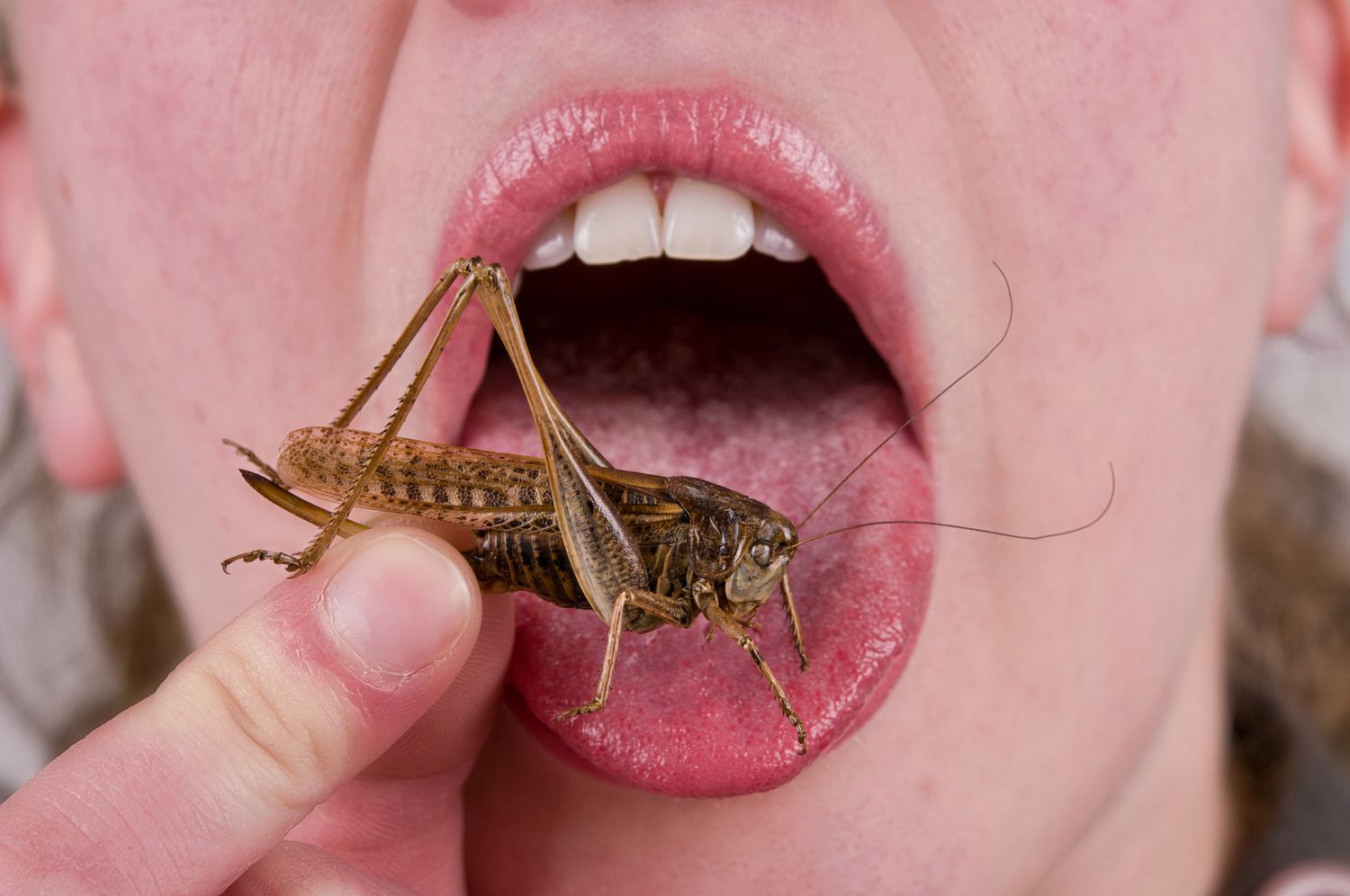 Chitin