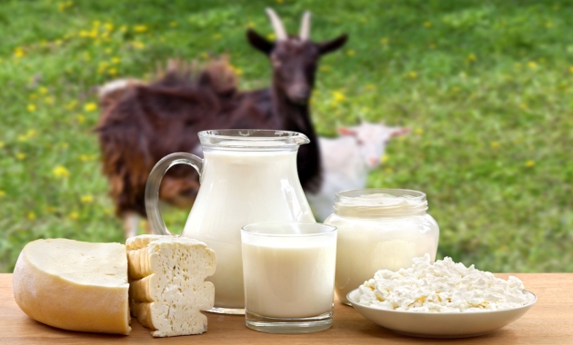 Goat Milk