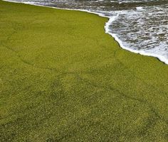 Green Sand