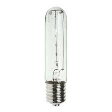 Halogen Light Bulbs