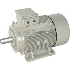 Heavy Duty Motors