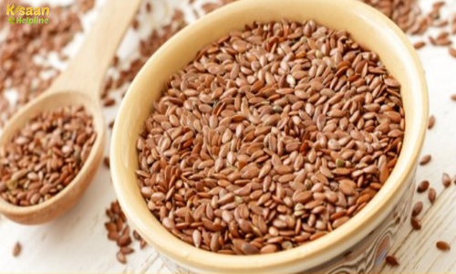Medicinal Plant Seeds