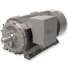 High Voltage Motor
