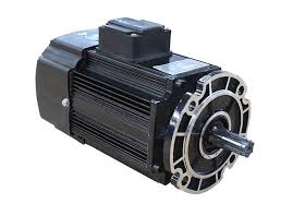Hoist Motors