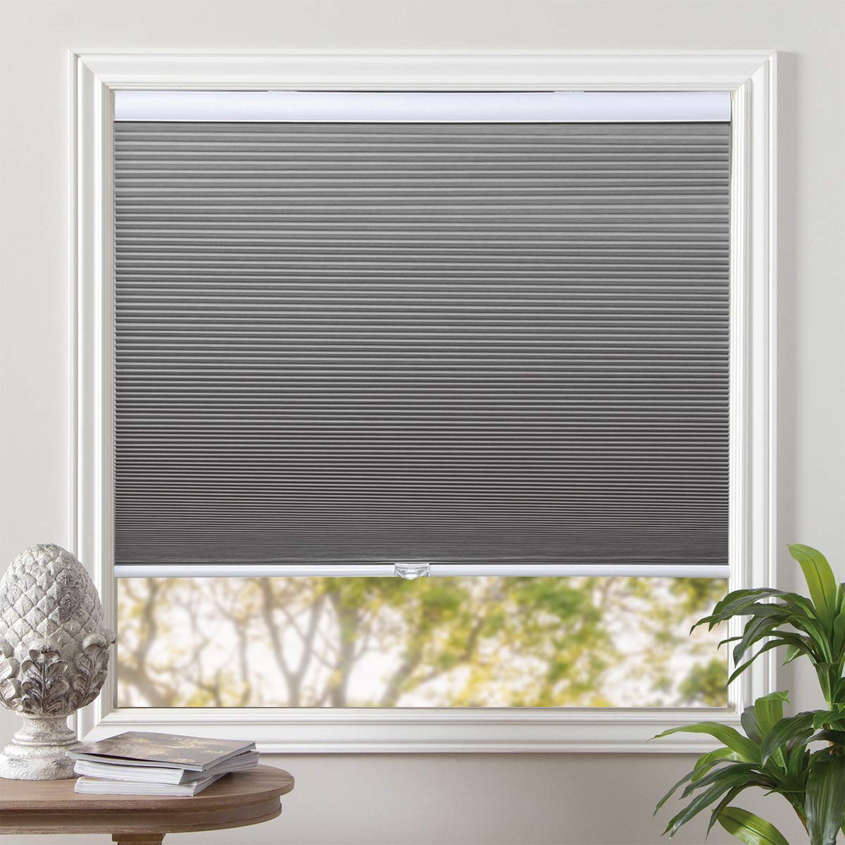 Honeycomb Blinds